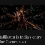 Prithviraj Sukumaran Instagram - Huge congrats to @lijo_lebowski and the entire team of #Jallikattu 😊 #TheBeginning 🤞🏼🙏