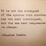 Prithviraj Sukumaran Instagram - Adapt.