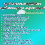 Prithviraj Sukumaran Instagram -