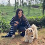 Priya Anand Instagram - @beethereforme Is The Best Gift I’ve Ever Received! You Can Never Go Wrong Adding A Dog To Your Story! 🐶🐝❤️ Bumblebee Is My Reason To Smile... Who’s Yours?!??