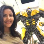 Priya Anand Instagram - This #Bumblebee Is Keeping Me Company While I'm Out Here In Kochi! Miss My #FluffBucket Lots! #BuddyBoy 🐝 #lulumallkochi