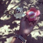 Priya Anand Instagram – 🐣🐰👯 Easter Scavenger Hunt With My 🐝!!! ❤ The Fragrance Of The Cannon Ball Tree Flower 🌸🌸🌸