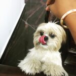 Priya Anand Instagram - My Funny Valentine ❤