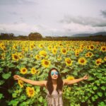 Priya Anand Instagram - Officially on Instagram! ❤🌻😍 XoXo