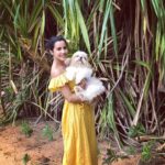 Priya Anand Instagram - Baby Cakes & I!!! 💛❤🐝