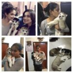Priyamani Instagram – Oh my heart!!😍😍😍 @sandy5torm  and me having a whale of a time with these cuties!!!how cute were these 3 huskies!!awwwwwdorable to the core!!😍😍😍