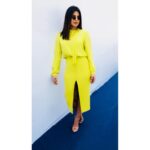 Priyanka Chopra Instagram - 🍋 Dubai, United Arab Emirates