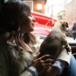 Priyanka Chopra Instagram - Baby’s day out. @diariesofdiana #nyc #carfie New York, New York