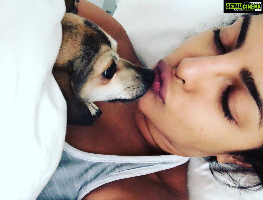 Priyanka Chopra Instagram - Saturday Snuggles... @diariesofdiana #snowday ❄️🌨❤️ New York, New York