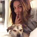 Priyanka Chopra Instagram - Someone is sleeping sitting up! Lol @diariesofdiana is tired after playing with the holes on my @amiri sweatshirt!!! She loves it as much as I 🐶😂❤️🌸