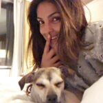 Priyanka Chopra Instagram – Someone is sleeping sitting up! Lol @diariesofdiana is tired after playing with the holes on my @amiri sweatshirt!!! She loves it as much as I 🐶😂❤️🌸