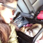 Priyanka Chopra Instagram - Travel day... here we go..🌸💕🐶🛫🎉 @diariesofdiana New York, New York
