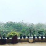 Priyanka Chopra Instagram - Torrential Mumbai Monsoon. The wrath of nature. Pls be safe everyone. Pls allow strays into dry spaces..