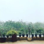 Priyanka Chopra Instagram – Torrential Mumbai Monsoon. The wrath of nature. Pls be safe everyone. Pls allow strays into dry spaces..