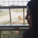 Priyanka Chopra Instagram – Mufasa and I… #jobergdiaries