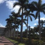 Priyanka Chopra Instagram - Sunny skies palm trees... Yesssssss! I needed this for my soul! #Miami #irfanstacy
