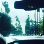 Priyanka Chopra Instagram - Beautiful sunny LA!
