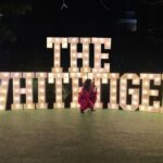 Priyanka Chopra Instagram - Ending opening weekend with a full heart. I’m blown away by the love for #TheWhiteTiger’s release on @netflix this weekend. Your support in watching this film has made it trend globally in the top 10 in less than 48 hours + counting. Thank you to every one of you who watched, posted, shared amazing reviews, and held space for this incredible cast & crew. I’m so emotional seeing such an amazing response globally to a movie with an all INDIAN star cast! Films lead by visionaries challenge us and light fires in our collective souls. Thank you #AravindAdiga #RaminBahrani @mukul.deora @ava @netflix and all the amazingly talented players that made this movie possible and accessible to all. I am so grateful for your support and for this remarkable film. THANK YOU @gouravadarsh @rajkummar_rao for being the best teammates. 📸 @dungareves Letters @stephledigo London, United Kingdom