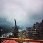 Priyanka Chopra Instagram - The fog coming to say hello at my doorstep.. Poetry in the making.. U had me at hello!!!