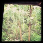 Priyanka Chopra Instagram - Let it rain down.. Let it fall.....