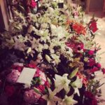 Priyanka Chopra Instagram - Mera Ghar garden garden ho Gaya.. Loooove lilies! Purrrrdy!!