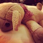 Priyanka Chopra Instagram - Lavender says goodnight world zzzzzz