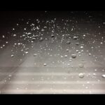 Priyanka Chopra Instagram – Dew drops…. So beautiful…