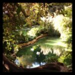 Priyanka Chopra Instagram - Inspired..enchanted swan lake..only stay around the truth