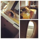 Priyanka Chopra Instagram - Aaaah!! The bliss and silence of a long flight!! hasta pronto espana!!