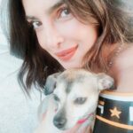 Priyanka Chopra Instagram - Happy birthday @diariesofdiana so happy to be reunited with you as you turn two.. lots of love 💗 New York, New York