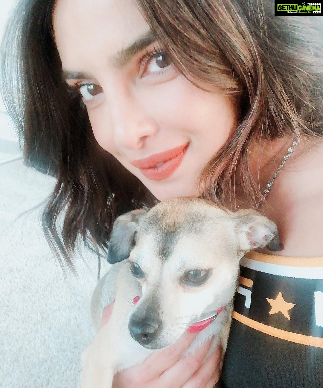 Priyanka Chopra Instagram - Happy birthday @diariesofdiana so happy to be reunited with you as you turn two.. lots of love 💗 New York, New York