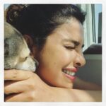 Priyanka Chopra Instagram - That kind of morning... #puppylove @diariesofdiana ❤️ New York, New York