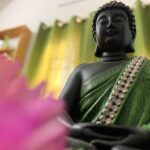 Priyanka Mohan Instagram – Buddha posed for me🙈
#myclick#peace#home