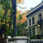 R. Madhavan Instagram - How beautiful is Toronto at this time of the year.. can’t get over the reds in the trees and grass.