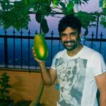 R. Madhavan Instagram – And now home grown organic Papayas in a pot.Prouddd.