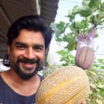 R. Madhavan Instagram - Harvest from my terrace in Mumbai today. ORGANIC AND SWEEEEEET