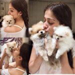Raai Laxmi Instagram - While most girls at my age turn into wonderful mothers .. here I am, already a proud grandmother to these twins.. ☆♡☆.🤪😛😘 Blessed to have the cutest babies from my babies #Miu #Lui #myworld introducing #tiffany #paco we r a big family now 😬💋#happyme #happymotherhood 💋💖
