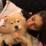 Raai Laxmi Instagram - My muffin 😘😘😘 ❤️❤️❤️I trouble him so much 😀😘😘😘 mwuahhhhh 💋 #paco #julie2 ❤️