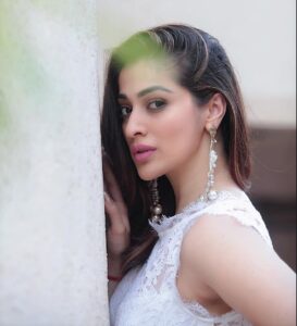 Raai Laxmi Instagram - If u want to be successful u have to be willing to disappear for a while.✨ #julie2 releasing on #10thNov