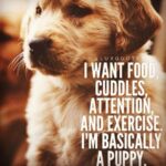 Raai Laxmi Instagram – I want , I want , I WANT ……. #iamapuppy 🐶💕❤️✨