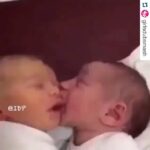 Raai Laxmi Instagram - Awwww moment 😍😍😍 #happysunday can't stop watching this video 😘❤️