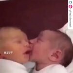 Raai Laxmi Instagram – Awwww moment 😍😍😍 #happysunday can’t stop watching this video 😘❤️