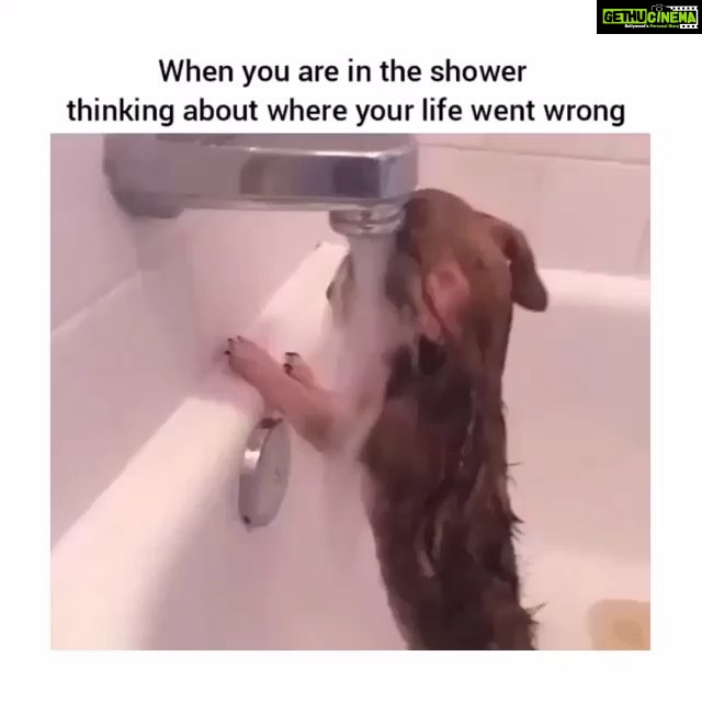 Raai Laxmi Instagram - Awwwww true ! This is the most adorable thing 😍😘 #cooling down ! How many of u do this ? 😋