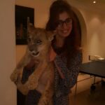 Raai Laxmi Instagram - My ❤️ #bijlee ❤️💕😍😘 #lioness ❤️