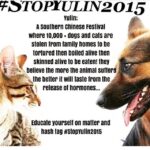 Raai Laxmi Instagram - #Stopyulin2015 🙏🏻🙏🏻🙏🏻