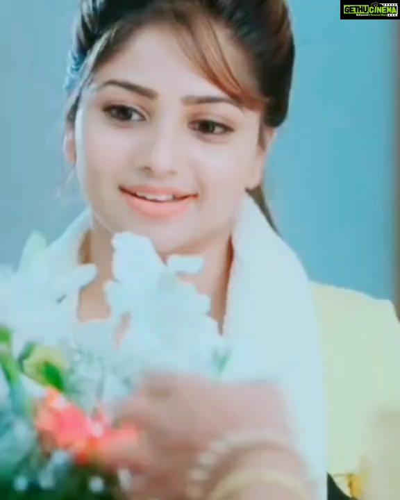 Rachita Ram Instagram - Love You All....💚♥️ . . . . . . . . . . . #nammasandalwood #sandalwoodadda #ashikarangnath #RachitaRam #kannada #sandalwoodactress #nabhanatesh #Gorgeous #SouthIndian #Karnataka #KannadaActress #Indian #payalsharma #Tollywood #TollywoodActress #sandalwood #teluguactress #Mysore #kfi #radhikakumarswamy #rashmika_mandanna #rachitaram #haripriya #amulya #ashikarangnath #pooja #kicchasudeep #yash #darshan #punithrajkumar #appu #shivarajkumar