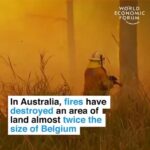 Radhika Apte Instagram - #Repost @leonardodicaprio with @make_repost ・・・ Repost IGTV from @worldeconomicforum: 2019 was Australia’s hottest and driest year on record. And there are still three months of summer left... #australia #fires #nature #environment #climatechange