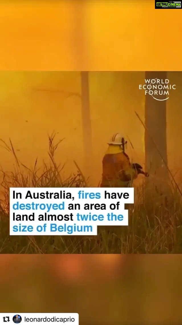 Radhika Apte Instagram - #Repost @leonardodicaprio with @make_repost ・・・ Repost IGTV from @worldeconomicforum: 2019 was Australia’s hottest and driest year on record. And there are still three months of summer left... #australia #fires #nature #environment #climatechange