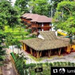 Radhika Apte Instagram - Congratulations @luminousdeep !!! I can not wait to visit 🌹 #Repost @luminousdeep with @get_repost ・・・ Presenting “The Big Tree Resort “ 🙏❤️🙌. Our little paradise on the southern tip of #southandamans in the quiet village of #Chidiyatapu and a 2 mins drive from the @lacadives dive centre . So come visit us , enjoy the peace and let’s go diving 👍👌 #bigtreeresort #chidiyatapu #southandamans #andamanandnicobar #incredibleindia #paradise #dreamon #comevisit #peace #forests #scubadiving #padi Pic by @sukesh_viswanath 🙏👏. @lacadives @paditv @incredibleindia