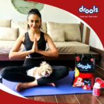 Rakul Preet Singh Instagram - @DroolsIndia It’s that time of the year again! Time to focus on you and your Furry Companion’s mental and physical health. Start fresh by switching to @droolindia! Feed them meals prepared of REAL CHICKEN with no by-products. #FeedRealFeedClean . . . #Drools #DroolsIndia #FeedDrools #HappyNewYear #Welcome2021 #NewYearResolution #PetParent #PetBond #DogFood #FoodForDogs #DogNutrition #Healthydog #PetCare #PetFood #WhatsGoodForYourDog #happydog
